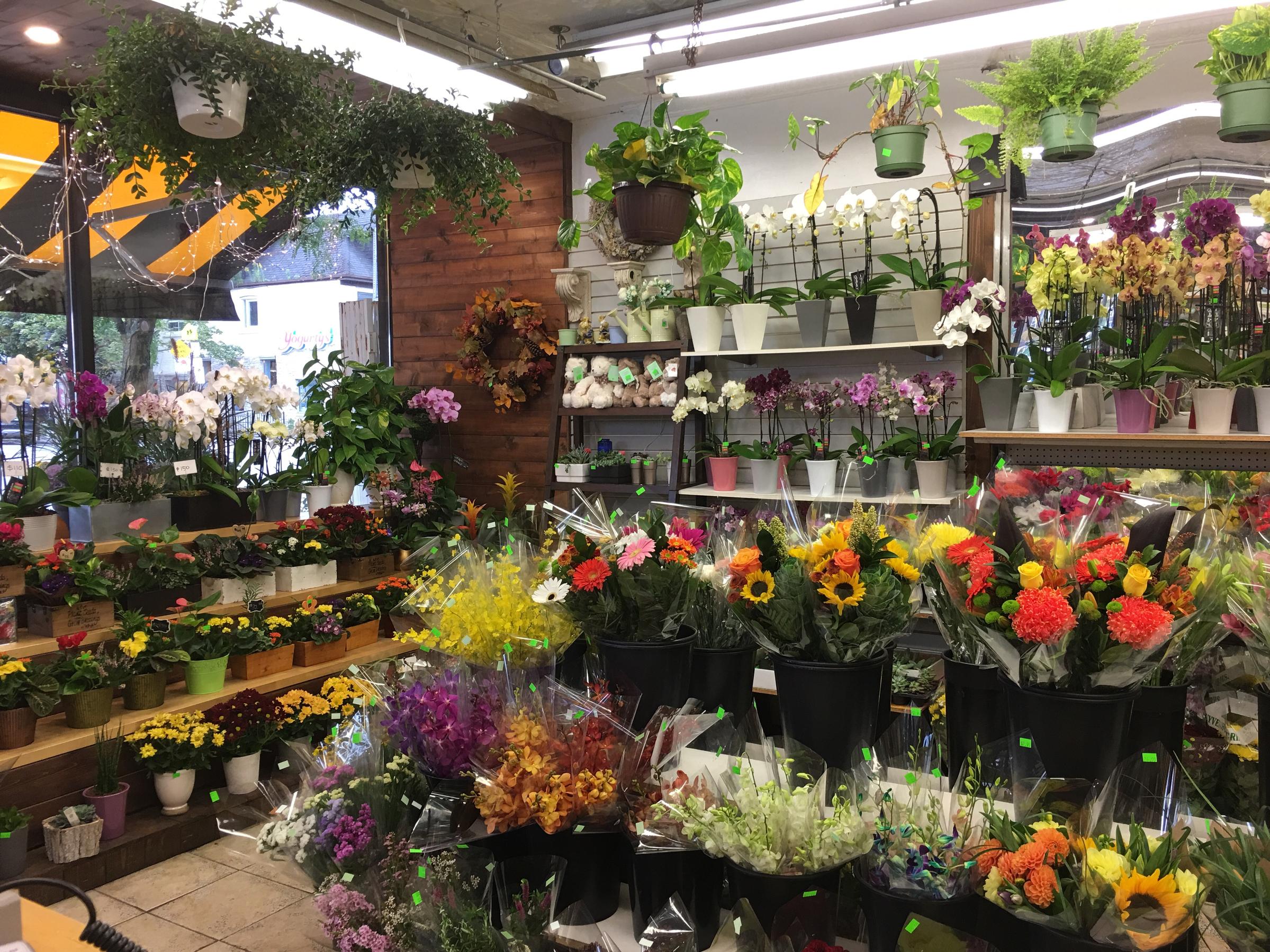 Bloor & Kennedy Flower Shop