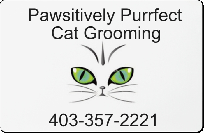 Pawsitively Purrfect Cat Grooming in 